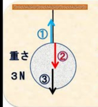 中学理科
作用、反作用について

作用、反作用の2力とつり合っている2力のちがいを、力ははたらく物体に着目して簡単に書きなさい という問題があります。 解答は
「作用、反作用の2力は別の物体にはたらき、つり合っている2力は同じ物体にはたらく。」

ですが、

作用、反作用では 糸が物体を引く力 と 物体が糸を引く力 なので

「作用、反作用の2力は互いの物体にはたらき、つり合っている2力は同...