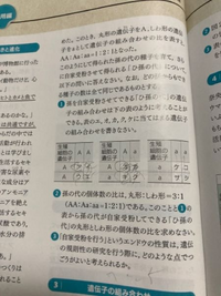 至急 の問題を教えてください 答えは丸 しわ 5 3です 中3理科 生物 Yahoo 知恵袋