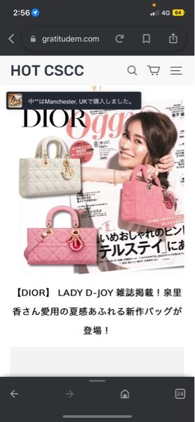 dior 薄型 ショルダー バッグ おまけつき メーカー公式