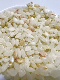 古い米がピンクに 数ヶ月入院して久しぶりに料理をしようと思ってお米を炊きま Yahoo 知恵袋