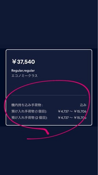 初めて海外旅行に行く大学生です 写真にある機内持ち込み手荷物とい Yahoo 知恵袋