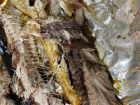 アニサキスでしょうか スーパーに売っていた有頭のさんまを塩焼きにして食べて Yahoo 知恵袋