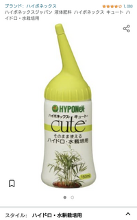 水耕栽培でリーフレタスを育て始めました初めて水耕栽培に挑戦してい Yahoo 知恵袋