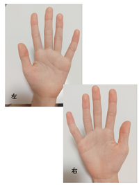 手相占いお願いします 画像が重くてはれなかったので一枚にしました Yahoo 知恵袋