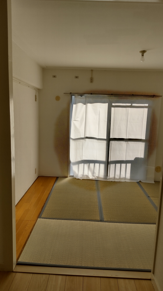 UR賃貸住宅の網戸まとめて3枚譲ります。
