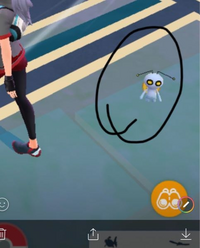 ポケモンorasでむげんのチケットを使って行ける南の孤島で出て Yahoo 知恵袋