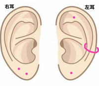 ピアスの位置について現在 右耳のロブに2つ 左耳のロブに1つとアウターコン Yahoo 知恵袋