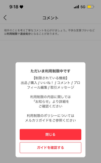 魅力の 今週お値下げ中さん 専用ページ その他