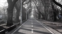 不可思議/wonderboyさんの「Pellicule」の公式ミュージックビデオは、どこで撮影されたものなのでしょうか？
まっすぐな一本の並木道の場所が知りたいです。 https://youtu.be/ueq2QFIIpu0