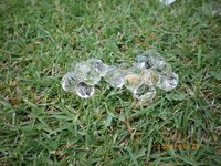 芝生の上に透明な ゼリー状の異物が発生しました 朝気がついたら芝 Yahoo 知恵袋