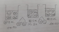 【中学理科】
どうしてイオンの数は中和するまで変化しないのですか？ 塩酸と水酸化ナトリウムの場合、中和して水と塩になるからイオンはなくなると思いました。電離しているから、塩はナトリウムイオンと塩化物イオンでカウントするのですか？