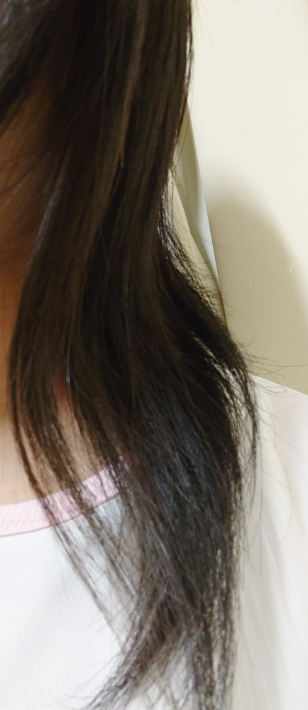 18歳の女子高生の髪の毛（髪束）です（姉）