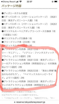 ディズニー バケーションパッケージ フリードリンク券とアトラクション