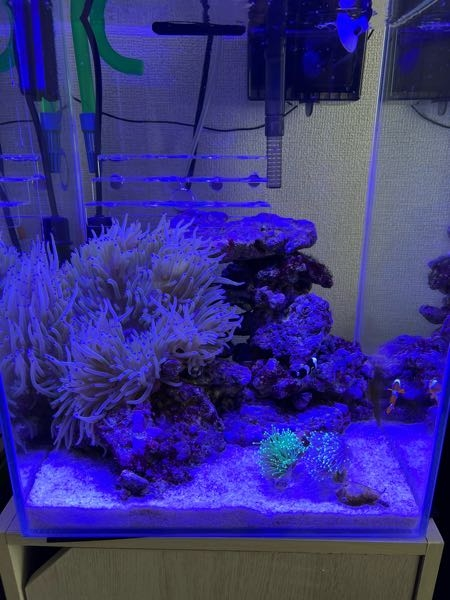 人工ライブロックに色を付けたいのですが、水槽用の塗料とかって