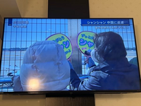 パンダ返還のニュース、パンダを熱狂的に好きな人達って狂気じみてて怖くないですか？ 