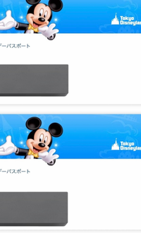 ディズニーチケットの表示方法で、よくインスタで友達が縦表示(写真