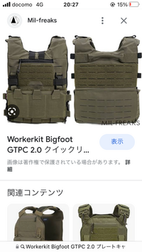 WorkerkitBigfootGTPC2.0プレートキャリアの... - Yahoo!知恵袋