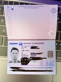 このシンガポール人のパスポートは本物でしょうか？
詐欺師から送られてきたのですが。 