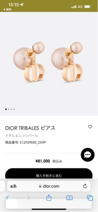 Diorのピアスの購入を考えていますサイトで見ましたがよくわから