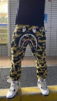 アベイシングエイプの迷彩のスウェットパンツを購入しようとしている 