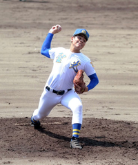 甲子園出よく見る聖光学院の野球のズボンはどこで買えるんでしょうか