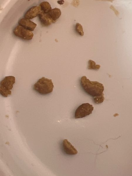 最近、飼い猫にカリカリを食べさせると破片を沢山残します。今見たと
