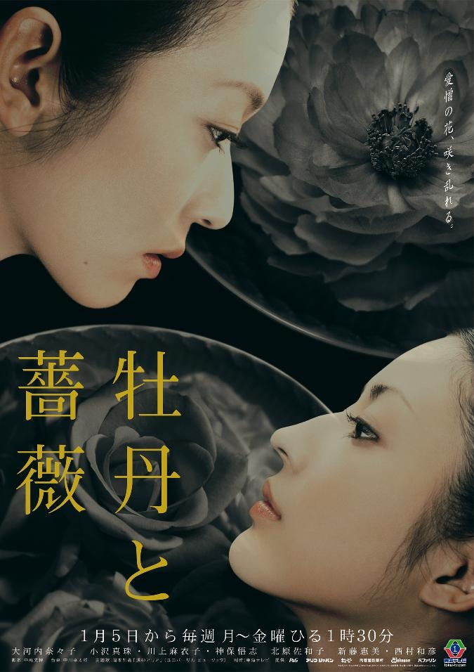 ♪「牡丹と薔薇」はどちらが綺麗？（大河内奈々子、小沢真珠）どちら