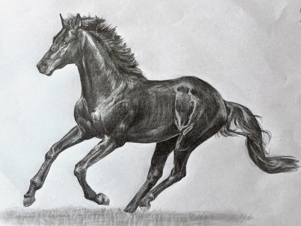 高校2年生です。馬を模写しました。アドバイスをお願いします。 - 馬の