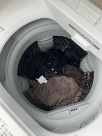 至急です。東芝の洗濯機AW-50GLの洗濯が始まりません。洗濯物