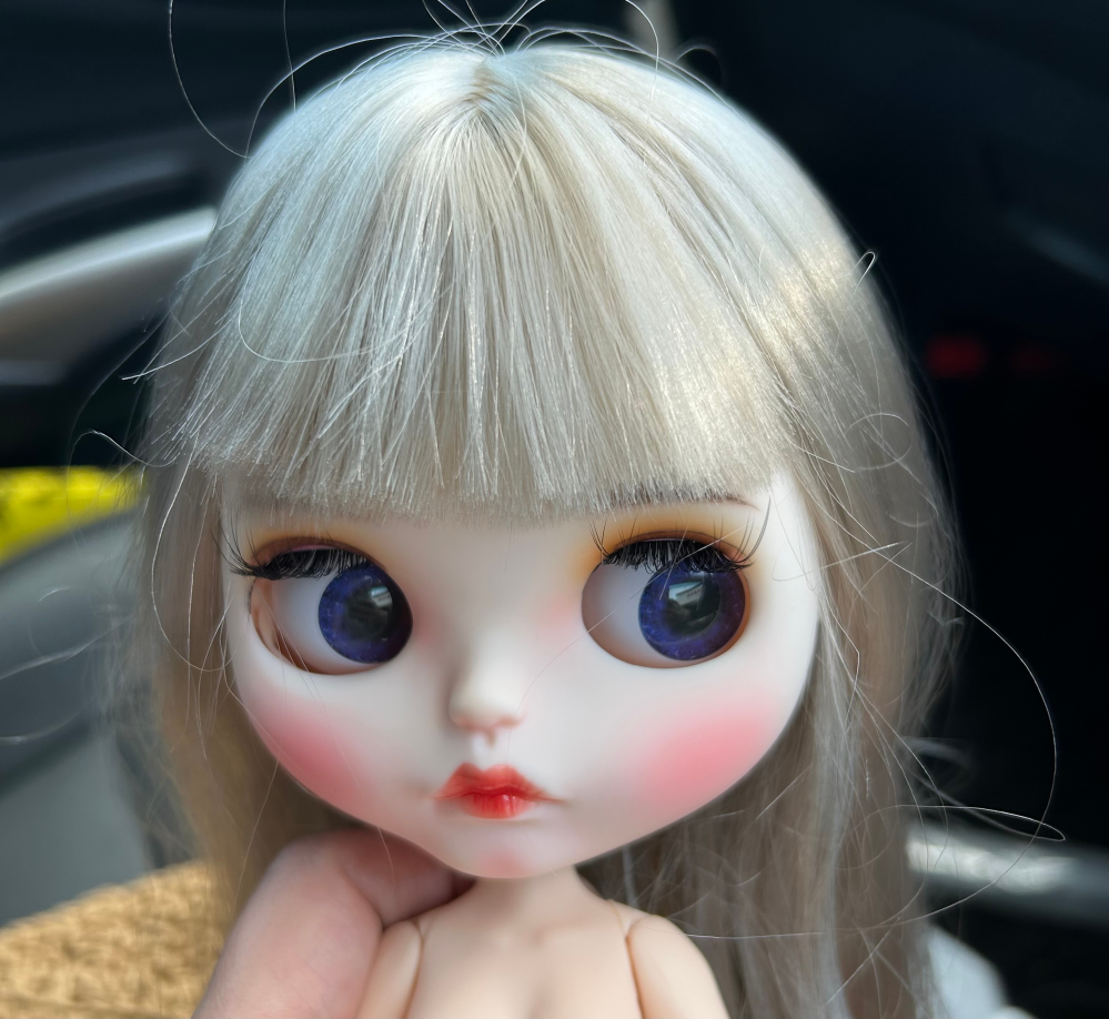アイシードールの存在を今日知りました。リサイクルショップでブライス