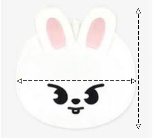 Stray Kids スキズ SKZOO うちわカバー　リービット StrayKids スキズ リノ リービット うちわカバー うちわケース