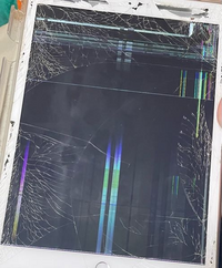 画面が真っ白で操作出来ないiPod video | Mac・iPhone・iPad