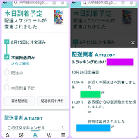 専用　15時発送予定 ただいま15時30分のAmazonの発送状況ですが、今日中に届くので