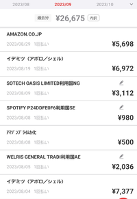 クレジットカード使用についての質問です。今月のクレジット明細で以下