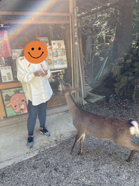 神社で写真を撮った時に虹色の光が映ったのですが、これは何でしょうか？ 