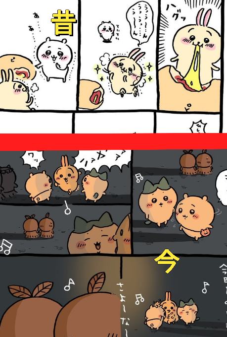 que-12289169667?w=999&h=999&up