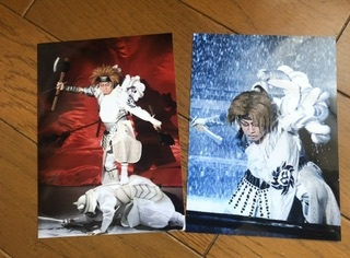 スーパー歌舞伎Ⅱ 新作オグリのパンフレットに挟んでいた【歌舞伎】の写真が何かわかりません。 ご指導ください。