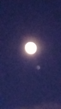 2023/11/15の17:00の月の写真なのですが、右下にある星は何ですか?
画像が終わっててすみません。 