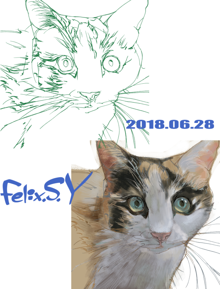 デジタルで動物の絵を描きまたよ。 何の動物を描いたか、分かりましゅかあ？