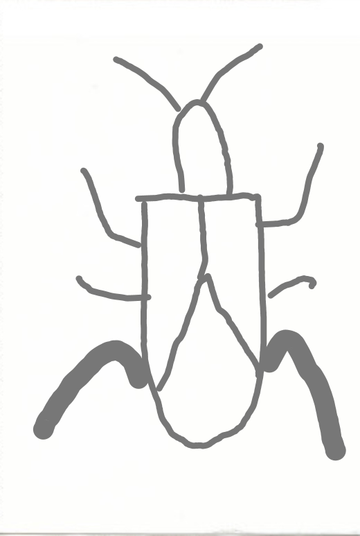 手を洗って置いてあったタオルで手を拭いたら虫さんが・ω・*)ノнёιιο!してきたんですけどこんな感じの虫でした。これってなんですか、？ 特徴(体はこんな感じで身体より頭小さめ、後ろ足だけ太い背中が逆Ｖの字)