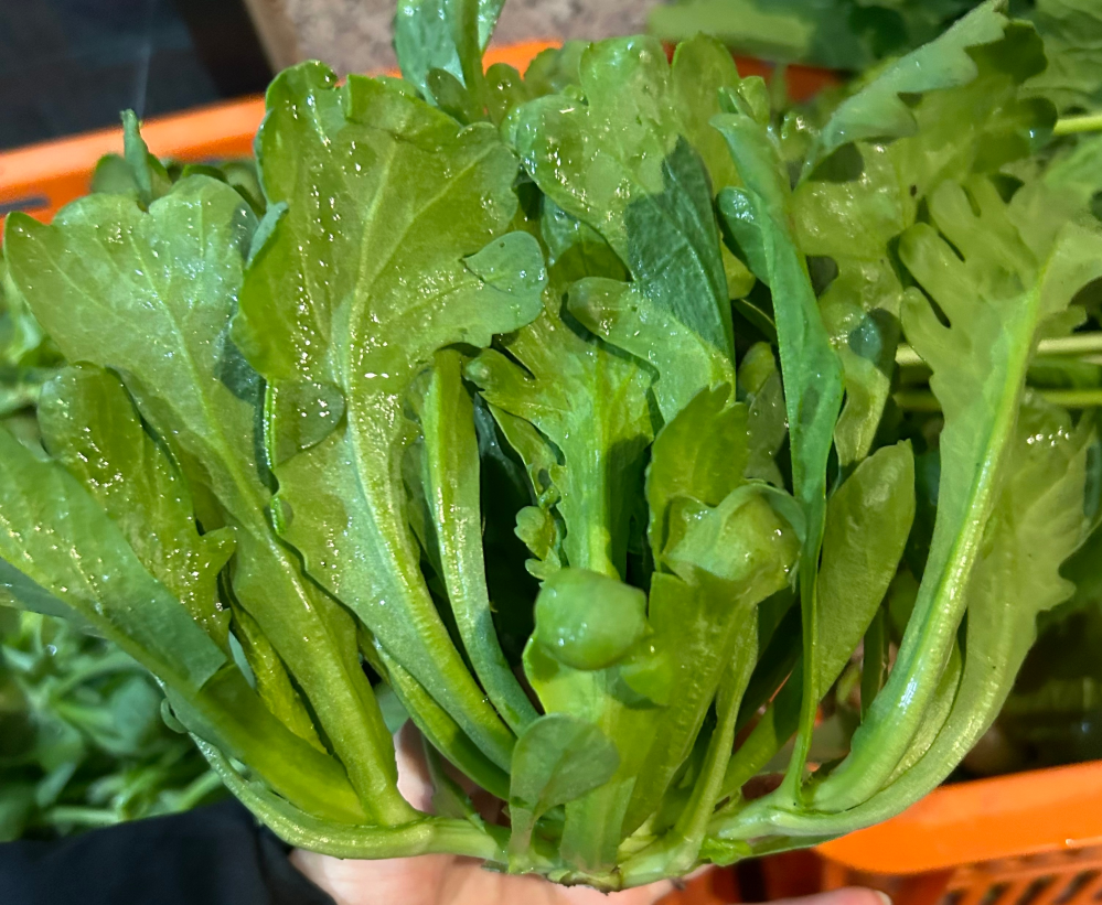この野菜の名前わかりますか？