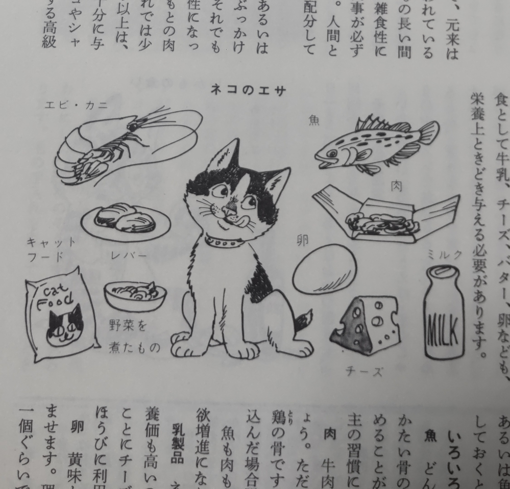 猫の食事についてです。 昭和46年に発行された飼育辞典には画像のような餌が推奨されていますが現代の飼育方法では与えてはいけない物はどれですか？