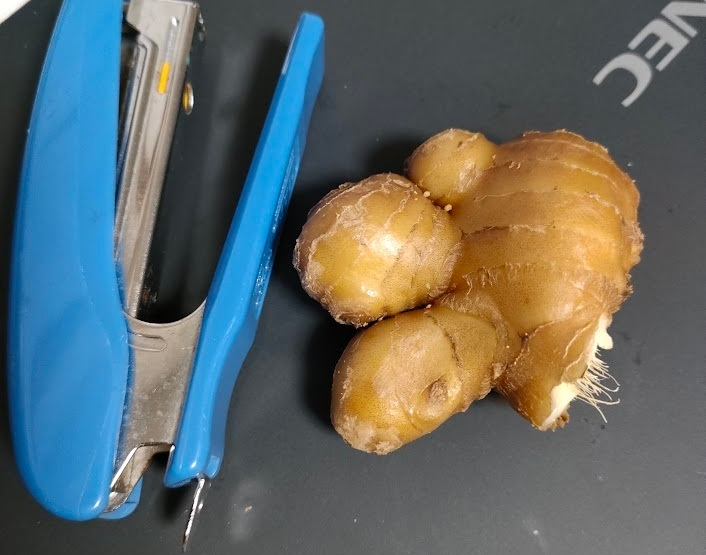生姜（しょうが）の皮をむかないで、加熱処理で食べることに問題はありませんか？ 新生姜は皮ごと食べるレシピもありますが、写真のような古い生姜について、皮をむかないで、薄切りにして、煮物に加えて食べています。薬として食べていますので苦いのは我慢できますが、古い生姜の皮は体に悪いでしょうか。