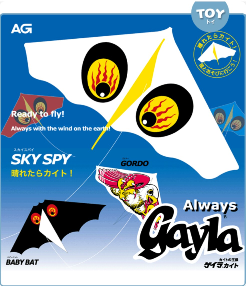 ゲイラカイトで遊んだことがありますか？ どんな思い出がありますか？