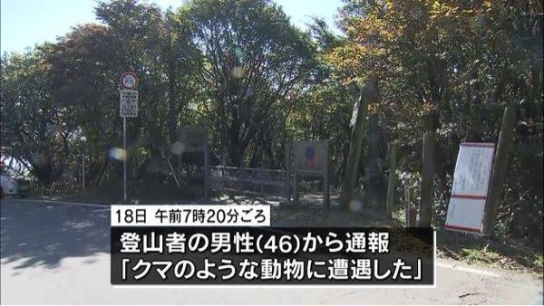 九州地方の熊が絶滅したのは 人口林や里山の減少で 住める所やエサが無くなったから なんですか？ 四国地方の熊も絶滅しかけて いるそうですが 例えば山口県にいる熊が 下関の関門海峡から泳いで 九州に渡ったり 広島、岡山の熊が 瀬戸内海を泳いで渡るのは 厳しいですか？ https://images.app.goo.gl/fWQupyjKxsy5RjDX9