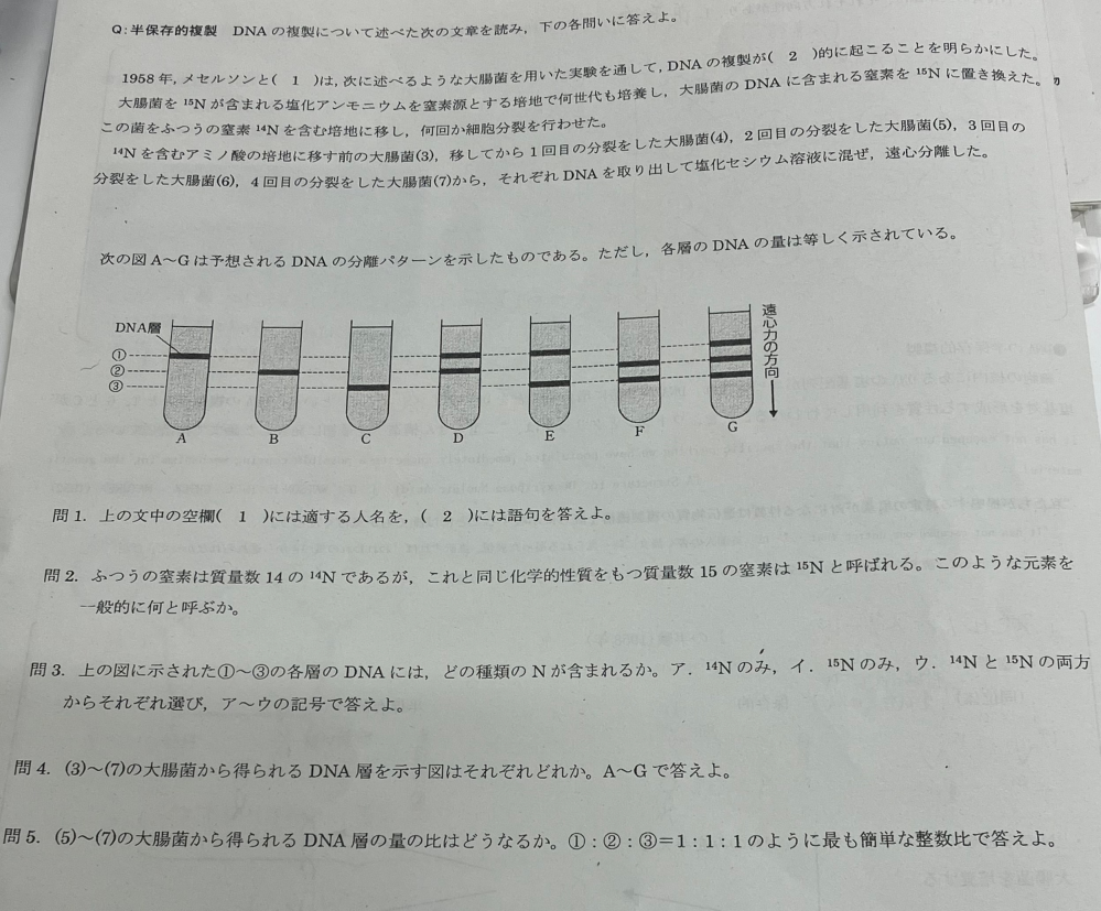 この問題の(5)の解説をお願いします。考えても答えの値と合いません。