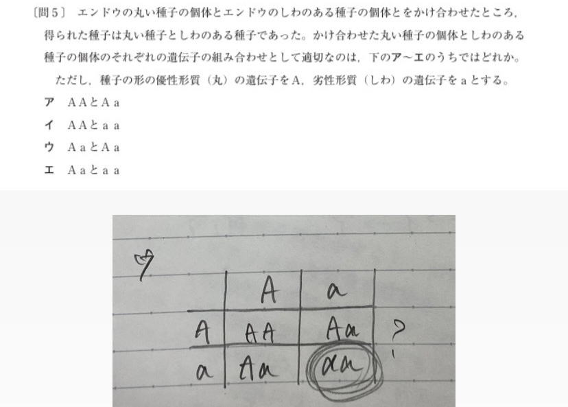 2021年度都立入試理科の大門1の問5でウにaaがあるのに不正解なのはなぜですか。