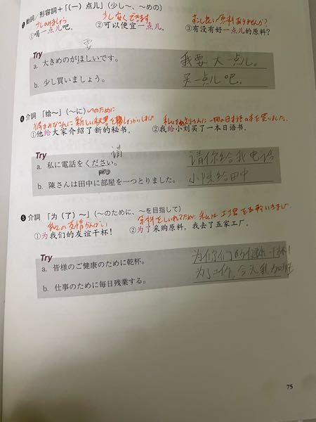至急! 中国語の問題です!TRYの答えの確認お願いします!!