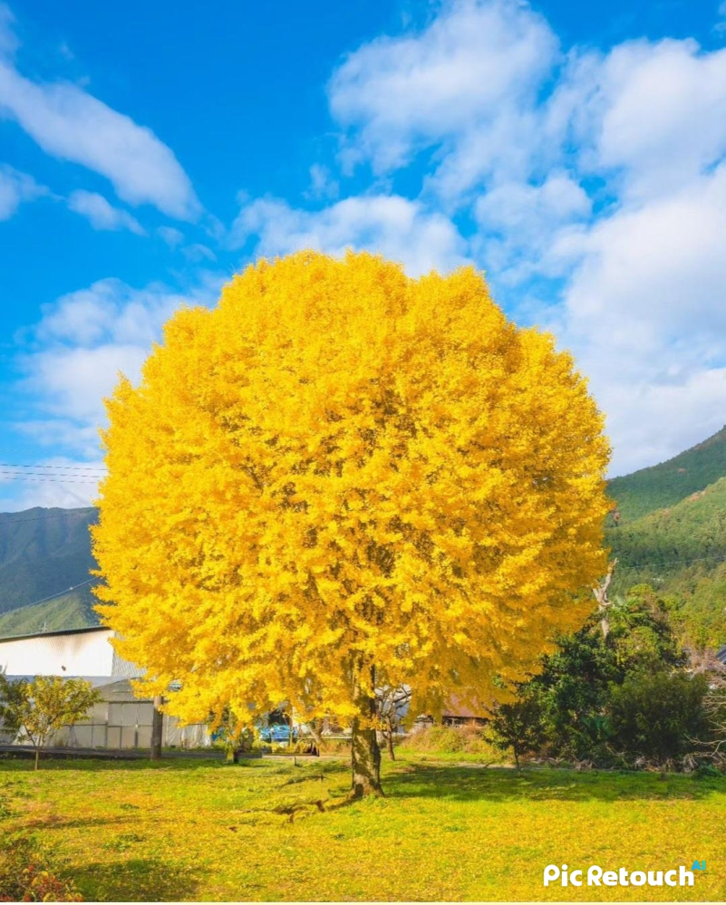 兵庫県丹波のどこか詳しく分かりますか？