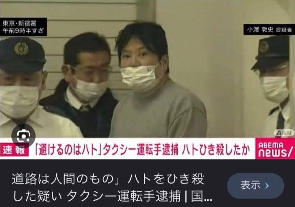 鳩の群れに突っ込む運転手を実際に見たことはありますか？